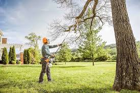 Best Weed Control  in Seaville, NJ