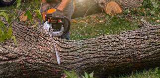 Mulching Services in Seaville, NJ