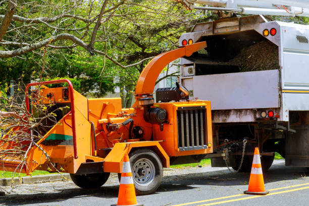 Best Tree Risk Assessment  in Seaville, NJ