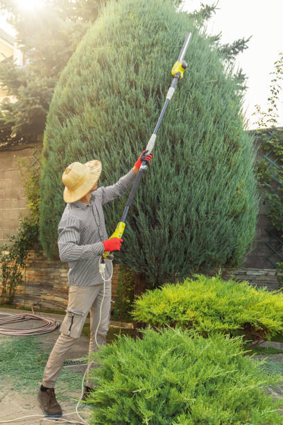  Seaville, NJ Tree Services Pros